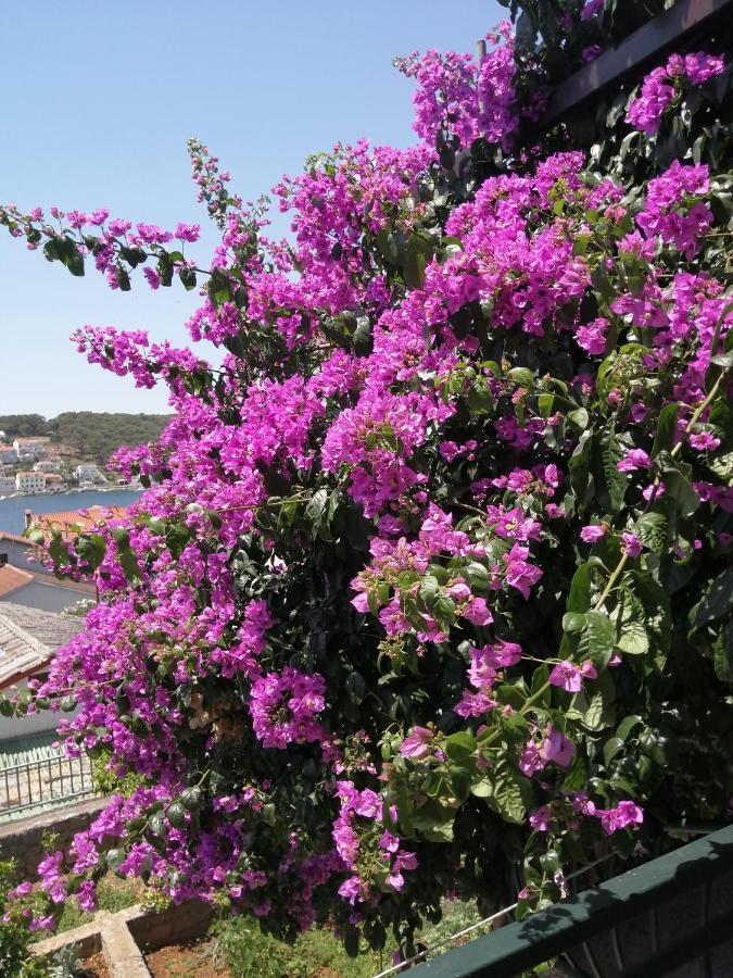 Fioretta Mali Lošinj Exteriér fotografie